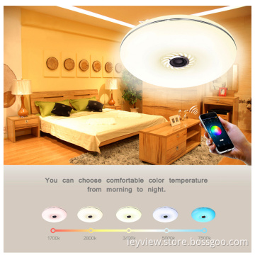 bluetooth ceiling lamp